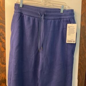 Lululemon joggers size 10 Color: blue (PSYH)